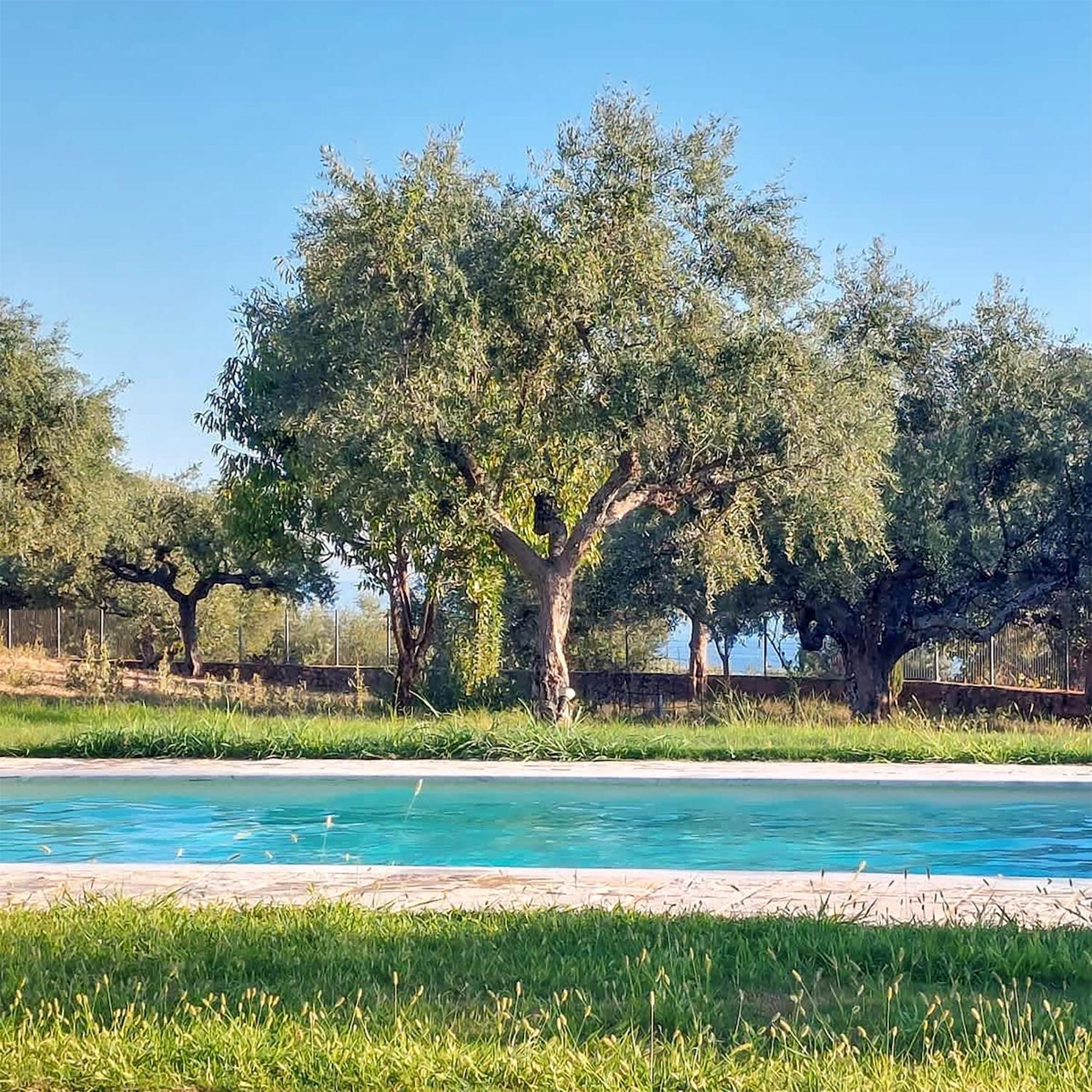 Villa Eleni - Private Pool Bliss Near Kardamili Proastion Luaran gambar
